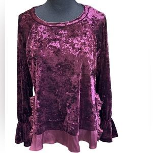 Willow and Clay Crushed Velvet Top